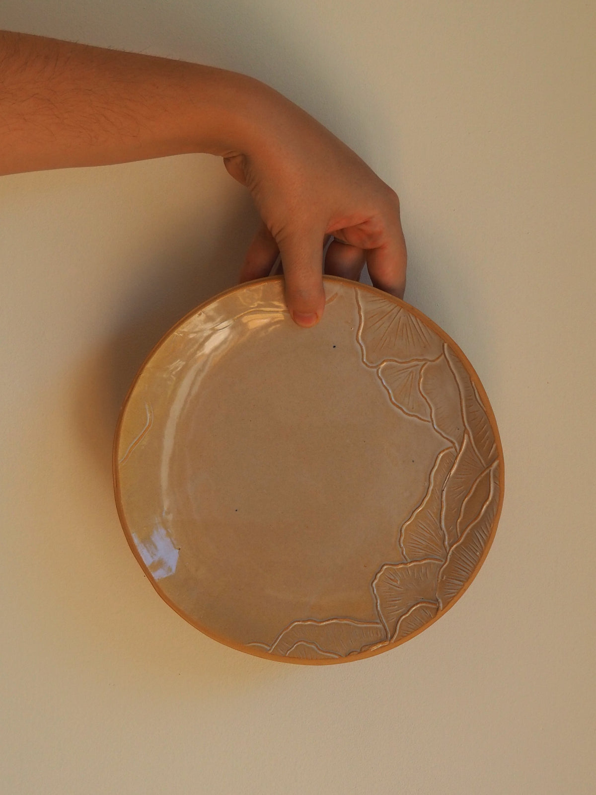 Grande assiette en relief